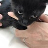 【くろまる】しっかり者の甘えたボーイ サムネイル6