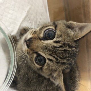 とても素敵なご家族様が見つかりました！