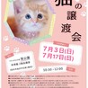 ミルクで育て中⭐︎甘えん坊なフト君 サムネイル3