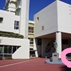 ☆寒川町役場で猫の譲渡会に参加させて頂きます☆