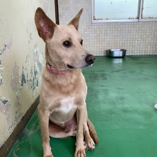 ありがとうございました！