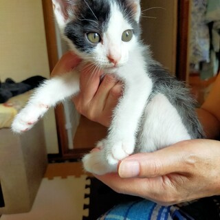 6/23更新❤白黒の甘えん坊男子❤