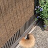 38ママ さん