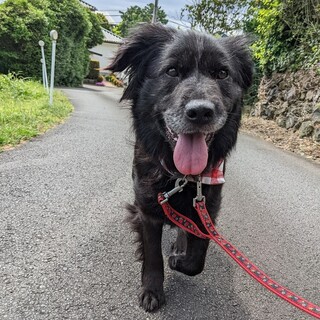 マイペースなおっとりさん