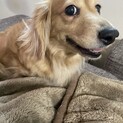 可愛いくて人懐っこい