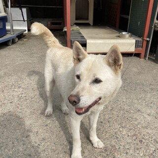 穏やかなユキちゃん