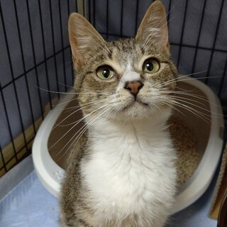 子猫のような無邪気な女の子♡ニーナちゃん