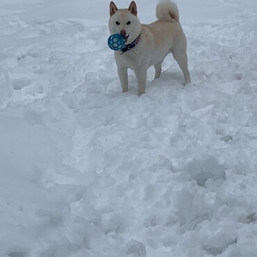 雪遊びが大好き♡