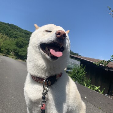 ♡♡♡