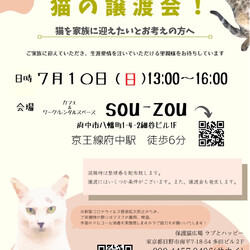 ラブとハッピー譲渡会 サムネイル1