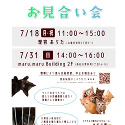 保護猫のお見合い会