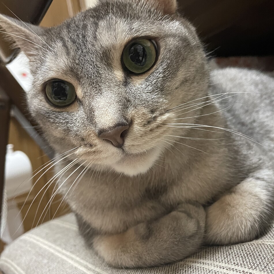 碧のカバー写真