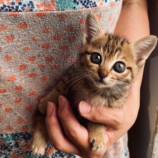 人なれバツグン　女の子