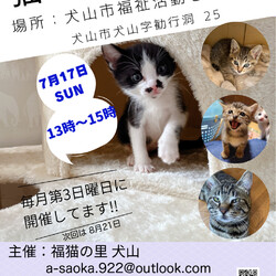 ねこの譲渡会＠犬山市福祉活動センター