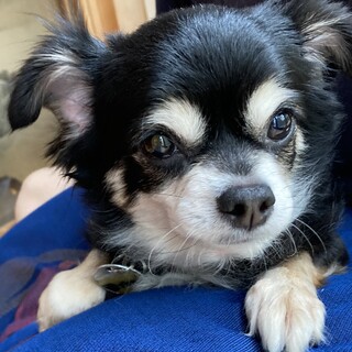 ゆっくりと慣れていくから笑顔いっぱいにしてね♡