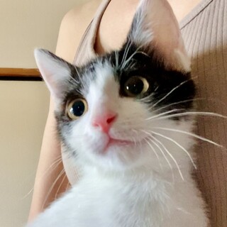 フレンドリーな性格で綺麗な顔立ち☆あおい君