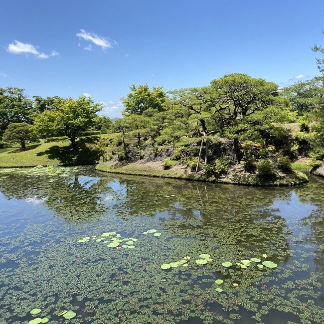 ペルマトのカバー写真