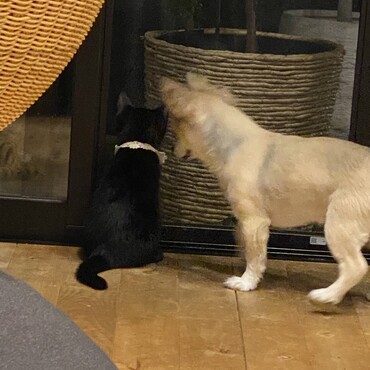 の写真