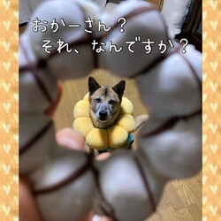 「似たもの同志？」サムネイル1