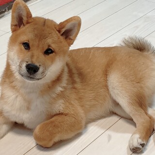 ☆とてもヤンチャな男の子♂☆