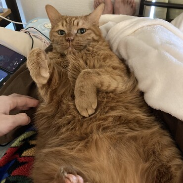 の写真