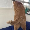 の写真