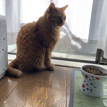 の写真