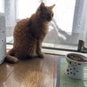 の写真