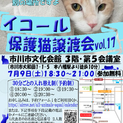 【千葉県市川市】イコール保護猫譲渡会vol.17