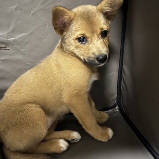 天真爛漫です⭐︎家族を探してます。