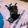 ななな、