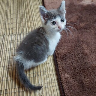 お外で頑張ったおちびちゃん