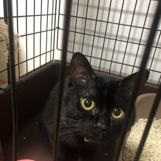 大切にしてくださる方今月中に