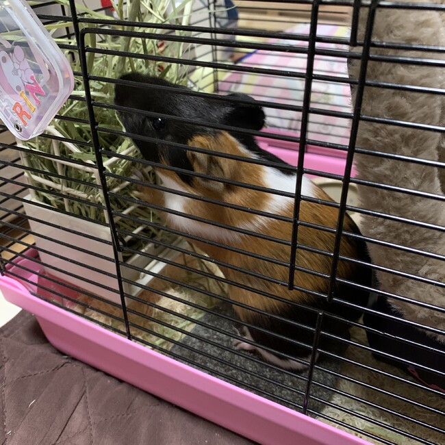 juntan6のカバー写真