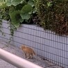 親子を助けてください サムネイル4