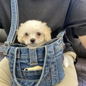 よちよちだけど、元気いっぱいの「くるくる」君