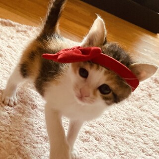 ありがとうございました