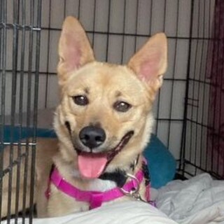 頭が良くて可愛らしい女の子、七波ちゃん