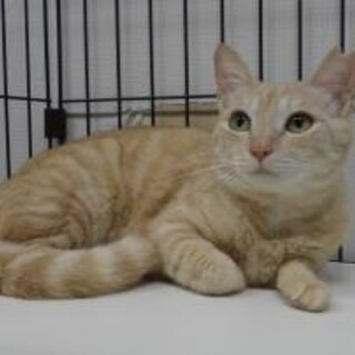 とっても美人な【もなか】ちゃん