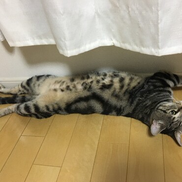 暑い〜〜