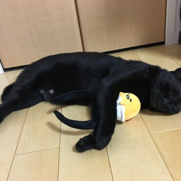 暑い〜〜