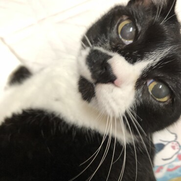 一歳(^^♪　おめでとうございます！　　僕の分残ってますか？