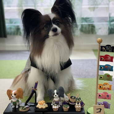 子供の日のときの写真です。