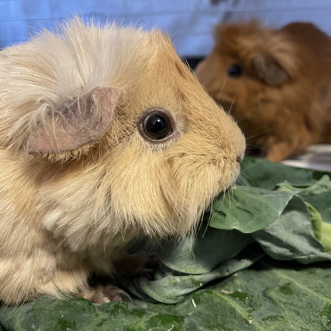 高根沢ベースのカバー写真