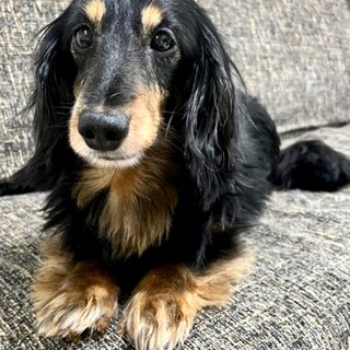 22-M61　大人しく良い子君♪