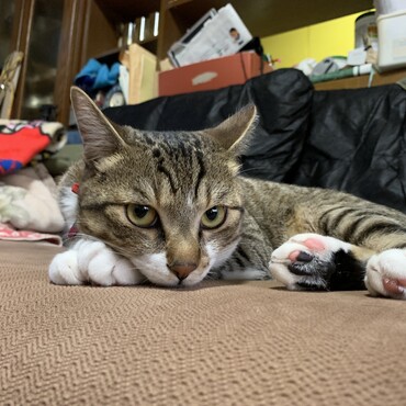 の写真