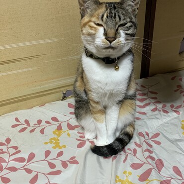 の写真