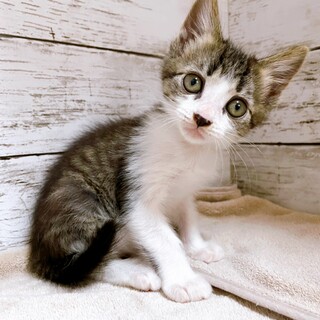 家族が出来ました！雪印くん♡