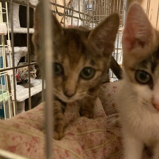 アイラインくっきり入ってます　ネイル