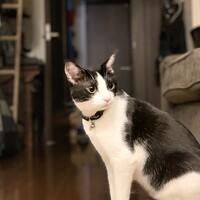 NICO（ニコ）
